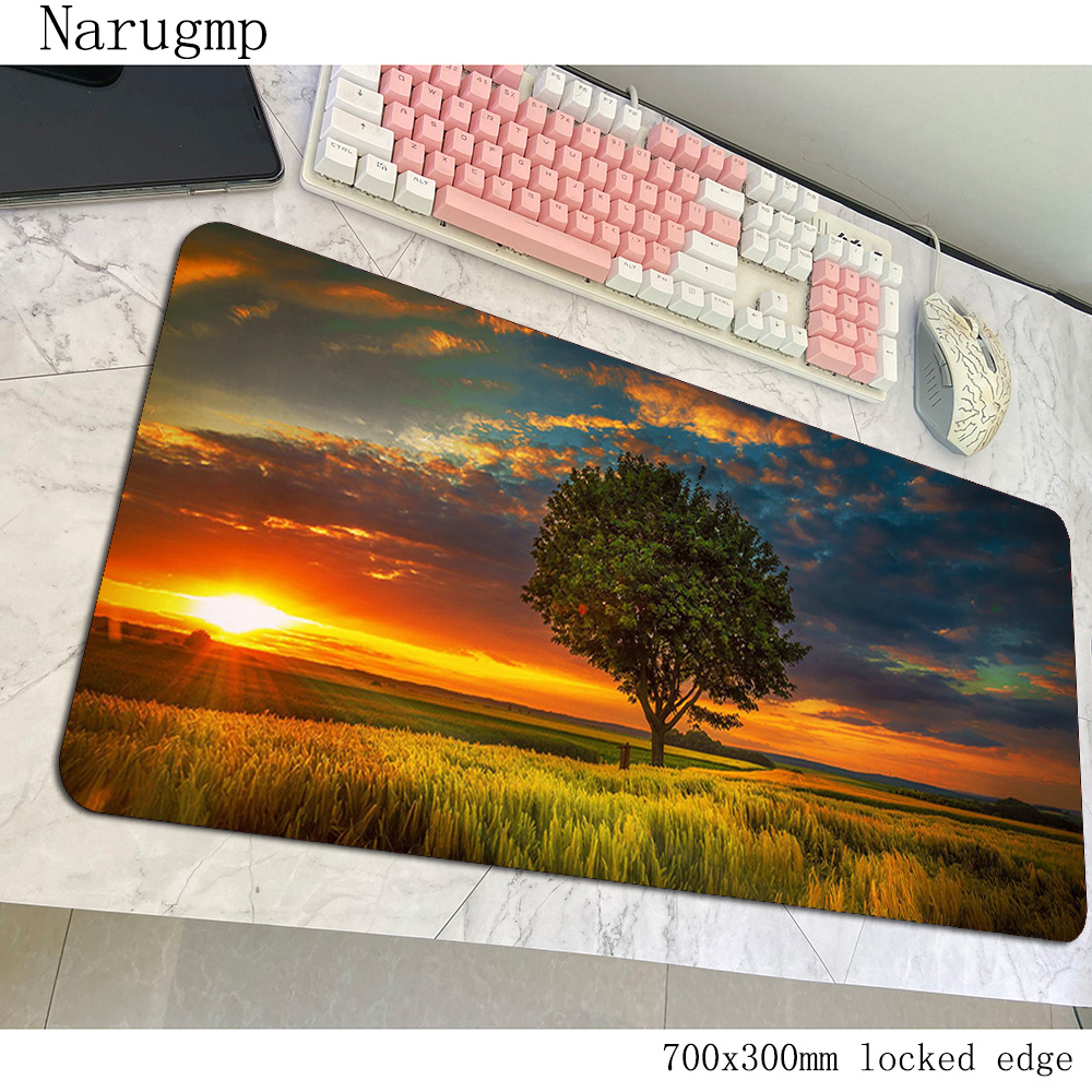 Sunset Mouse Pad Beautiful Ani - Pc Gaming World Of Warcraft recension och pris